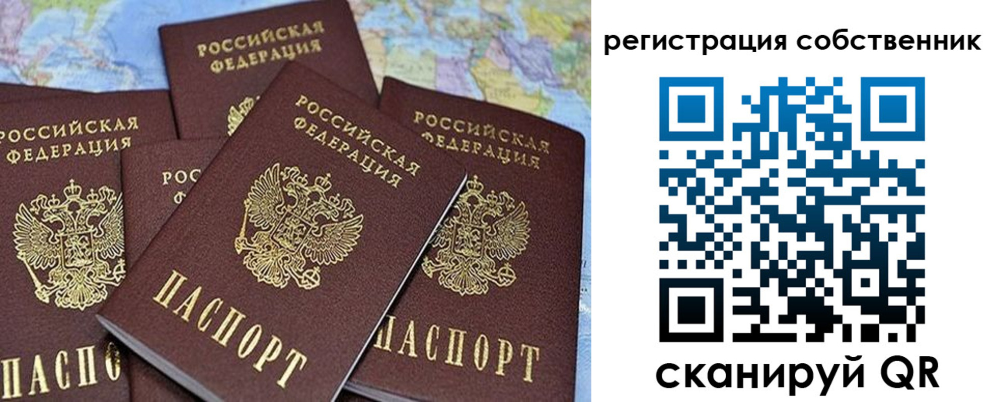 прописка для школы в Новосибирске